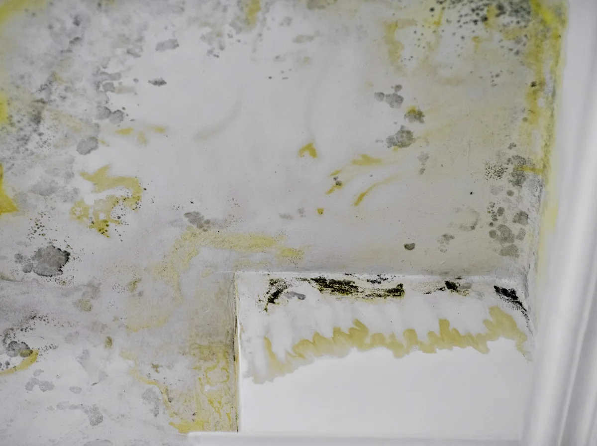 Water staining across a damaged commercial ceiling