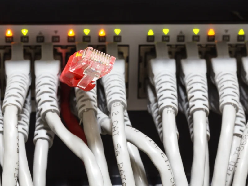 Network switch with patch cables running into it, photographed close up