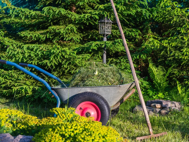 Barrow of cuttings and hand tools left beside a clipped hedge